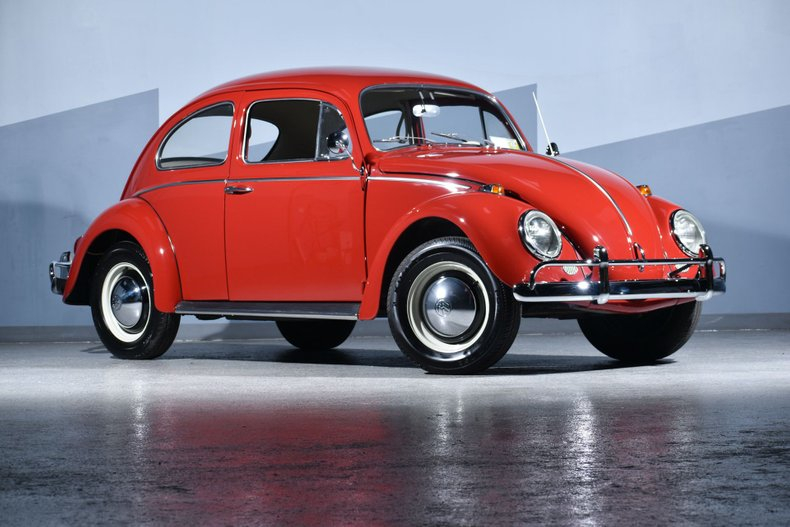 1964 bug